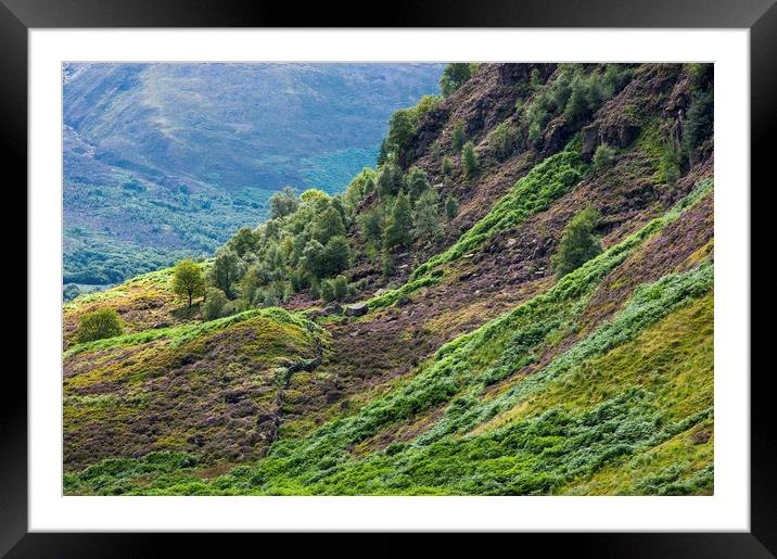 Colour at Crowden Framed Mounted Print by Andrew Kearton