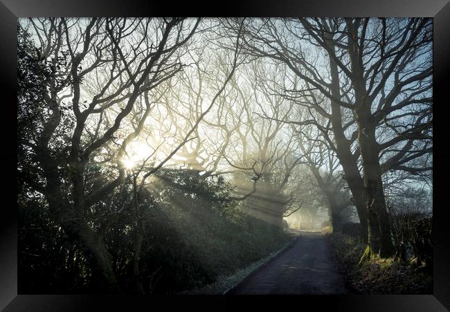 Woodseats lane on a February morning Framed Print by Andrew Kearton