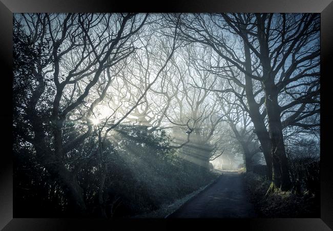 Morning mist on a country lane Framed Print by Andrew Kearton