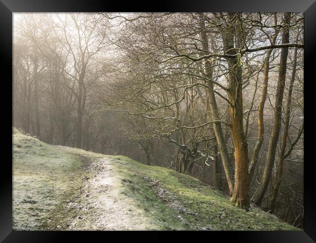 Frosty walk beside the woods Framed Print by Andrew Kearton