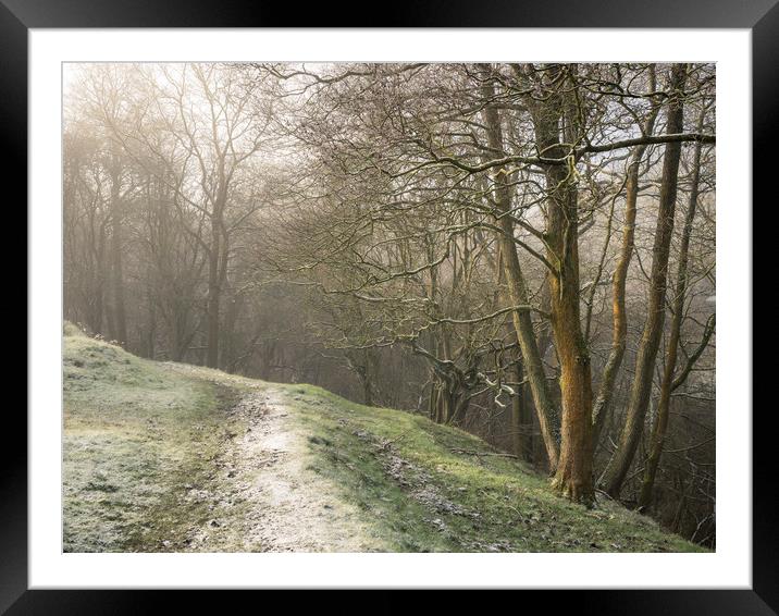 Frosty walk beside the woods Framed Mounted Print by Andrew Kearton