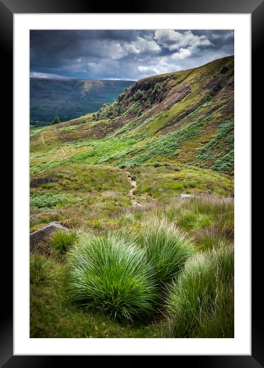 Summer at Crowden Framed Mounted Print by Andrew Kearton