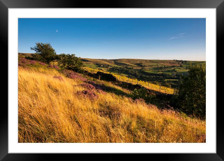 Summer grasses below Coombes Framed Mounted Print by Andrew Kearton