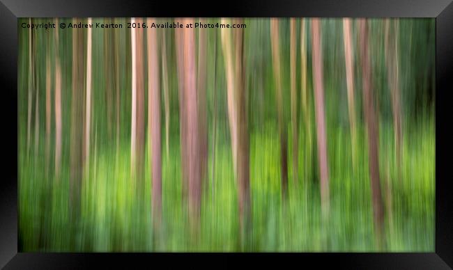 Colours of Erncroft woods Framed Print by Andrew Kearton