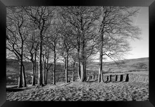 Twenty trees, Hayfield, Derbyshire Framed Print by Andrew Kearton