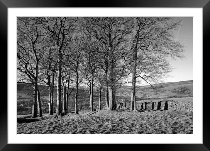 Twenty trees, Hayfield, Derbyshire Framed Mounted Print by Andrew Kearton