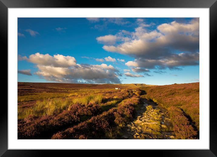 Heather blooming on moors above Hayfield Framed Mounted Print by Andrew Kearton