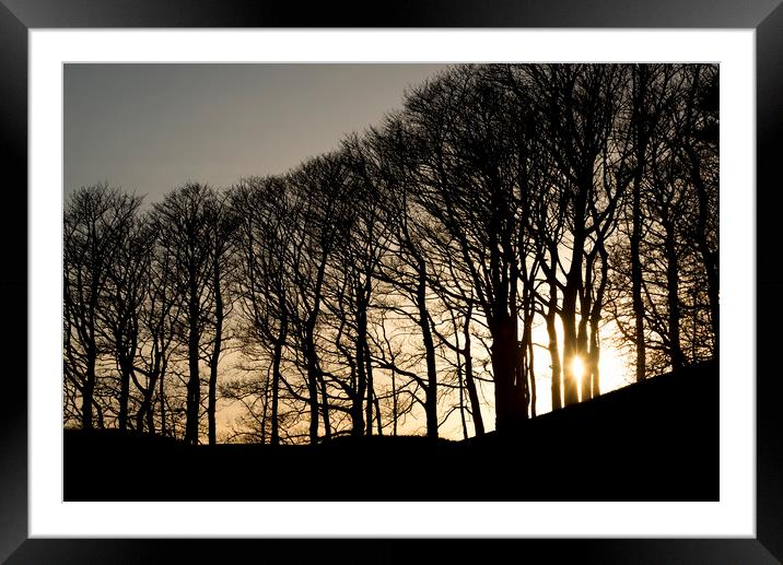 Sun between the trees Framed Mounted Print by Andrew Kearton
