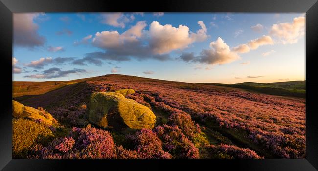 Heather moorland at sunset Framed Print by Andrew Kearton