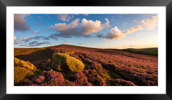 Heather moorland at sunset Framed Mounted Print by Andrew Kearton