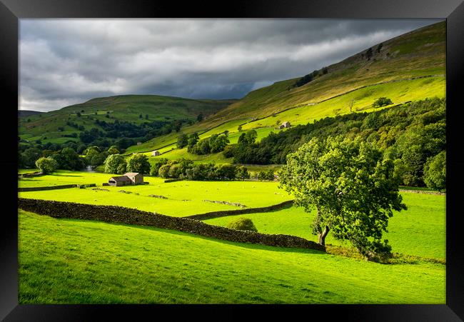 Green fields in Swaledale, North Yorkshire Framed Print by Andrew Kearton
