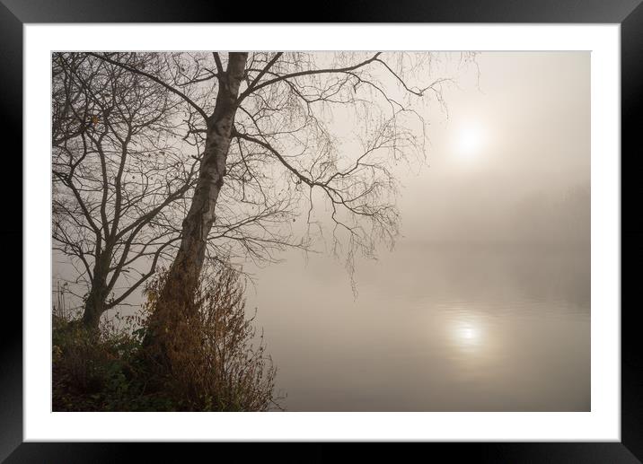 Tranquil winter morning Framed Mounted Print by Andrew Kearton