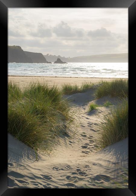 Soft sunlight at Newport Sands, Pembrokeshire Framed Print by Andrew Kearton