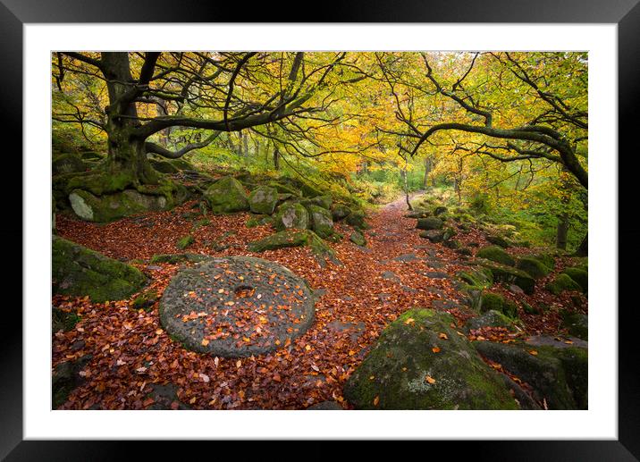 Millstone at Padley Gorge, Peak District, England Framed Mounted Print by Andrew Kearton