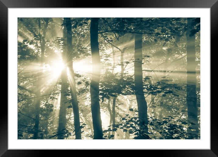 Sunbeams in a misty woodland Framed Mounted Print by Andrew Kearton