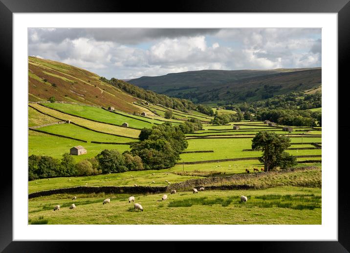 Upper Swaledale, Yorkshire Dales Framed Mounted Print by Andrew Kearton