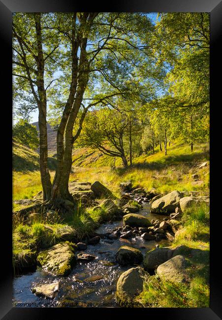 Chew Brook near Dove Stone reservoir, Greenfield Framed Print by Andrew Kearton