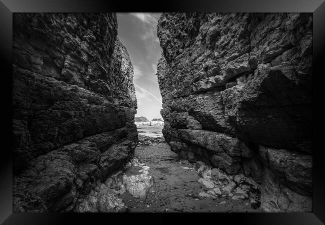 High cliffs at Thornwick Bay, North Yorkshire Framed Print by Andrew Kearton