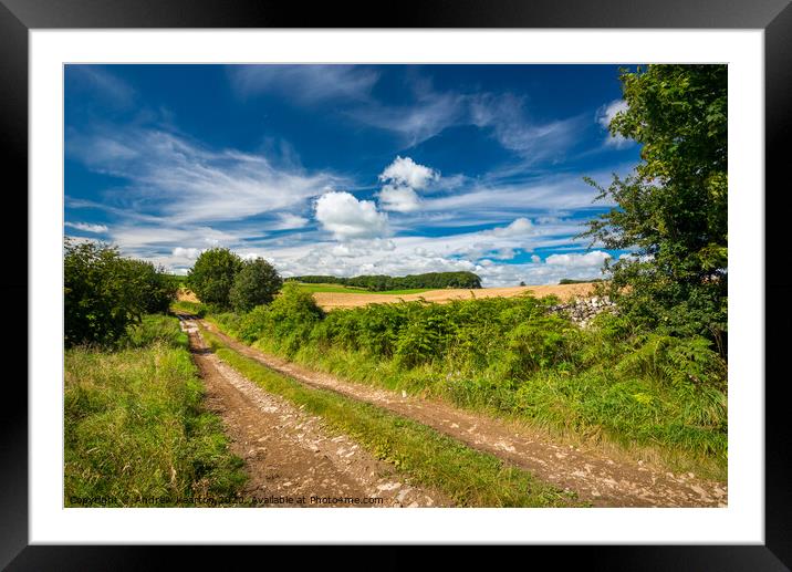 English countryside on a glorious summer day Framed Mounted Print by Andrew Kearton