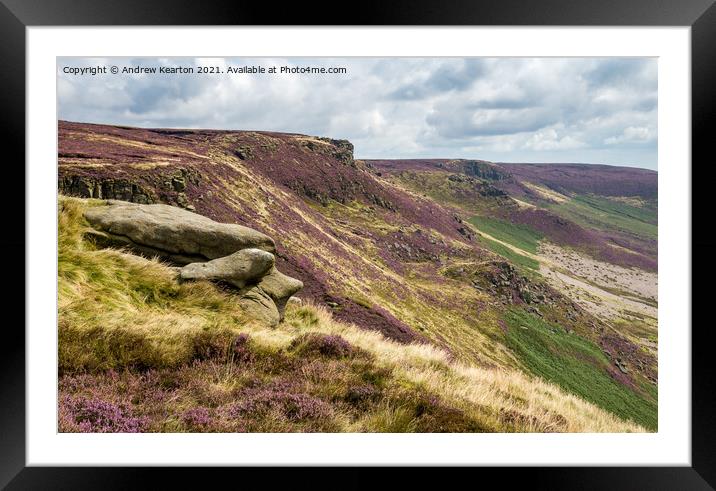 Heather flowering on slopes of Kinder Scout, Peak District Framed Mounted Print by Andrew Kearton
