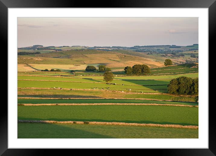 Stone walls in the Peak District countryside Framed Mounted Print by Andrew Kearton
