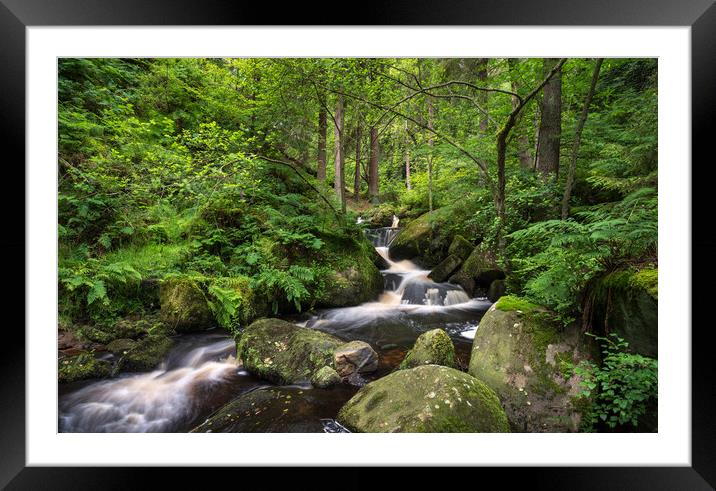 Wyming Brook nature reserve, Sheffield, Yorkshire Framed Mounted Print by Andrew Kearton