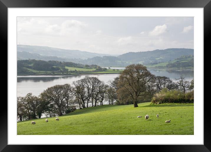 Peaceful scene beside the river Conwy, North Wales Framed Mounted Print by Andrew Kearton
