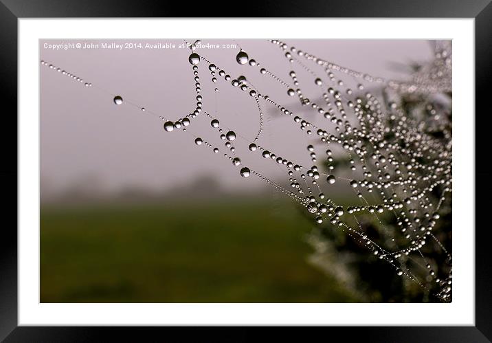 Dewdrops on a spiders web Framed Mounted Print by John Malley