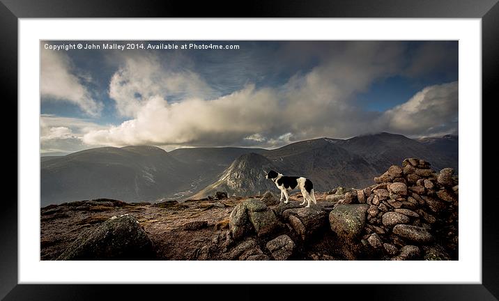 Taking in the view Framed Mounted Print by John Malley