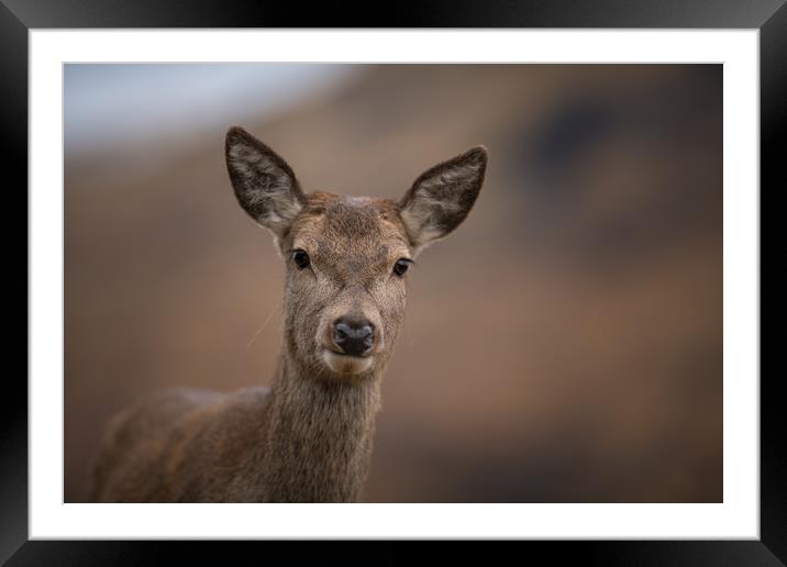 'Here's Looking at You' Framed Mounted Print by John Malley