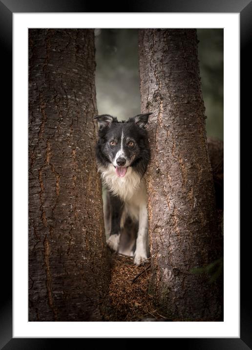 What a Poser! Framed Mounted Print by John Malley