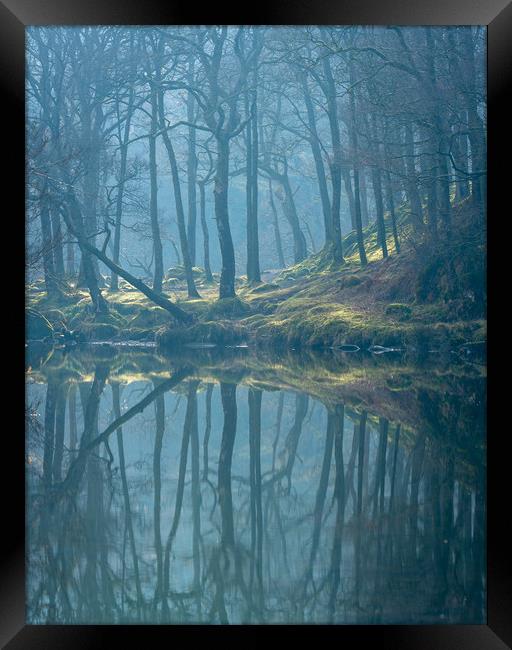 Moods by the River Framed Print by John Malley