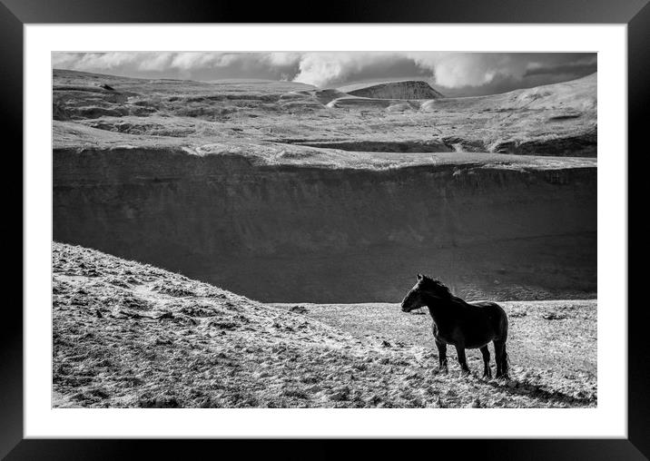 Cumbrian Fell Pony Framed Mounted Print by John Malley