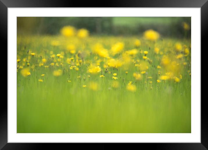 The Hay Meadow Framed Mounted Print by John Malley