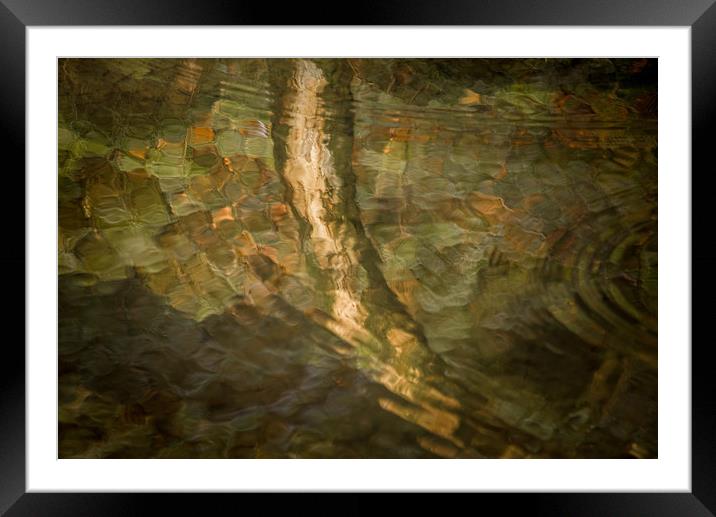 Flow in Motion Framed Mounted Print by John Malley