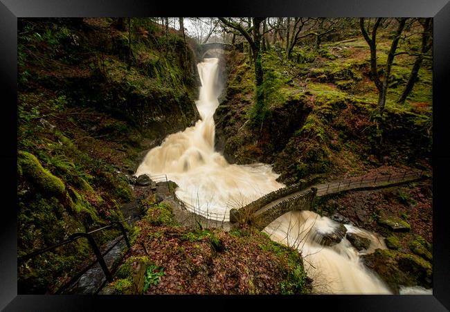 The White Force Framed Print by John Malley