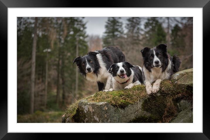 Pass of the Collie Framed Mounted Print by John Malley