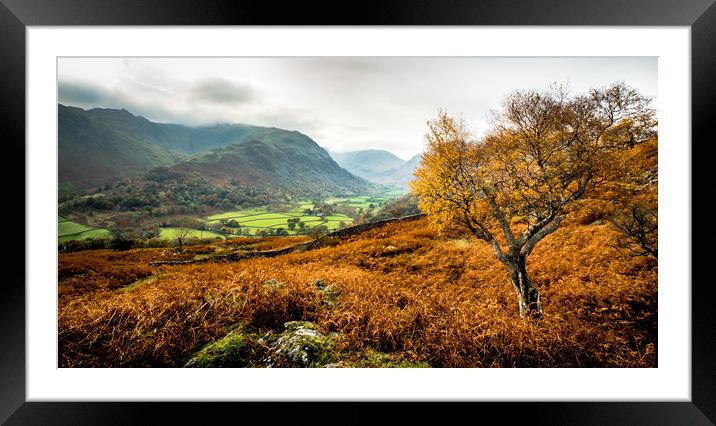 Autumn in Borrowdale Framed Mounted Print by John Malley