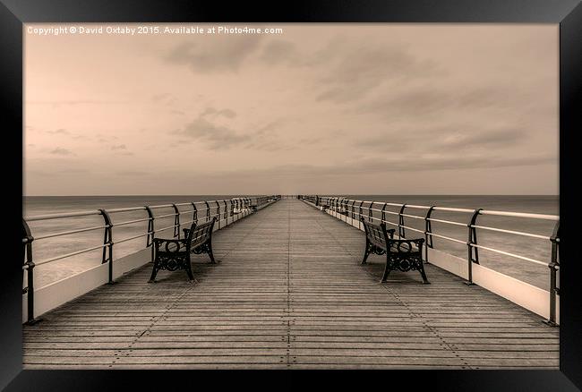  Saltburn Pier Walkway Monochrome Framed Print by David Oxtaby  ARPS