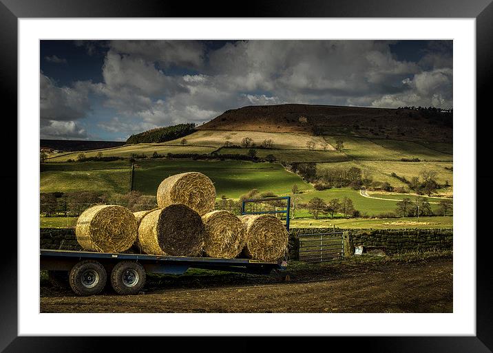  Hay Bales Framed Mounted Print by David Oxtaby  ARPS