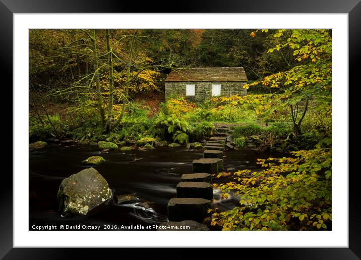 Cabin in the woods Framed Mounted Print by David Oxtaby  ARPS