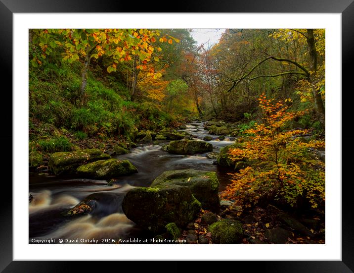 River through Hardcastle Crags Framed Mounted Print by David Oxtaby  ARPS