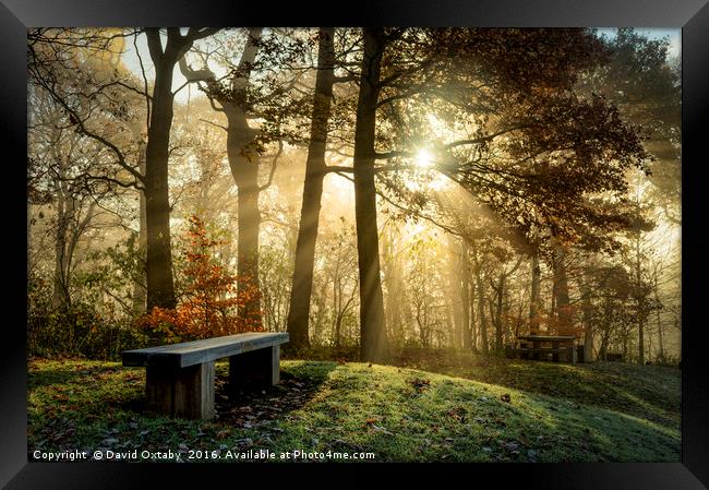 bench at St Ives in the mist Framed Print by David Oxtaby  ARPS