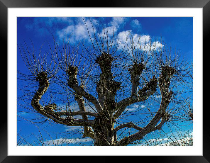  reach for the sky Framed Mounted Print by stephen king