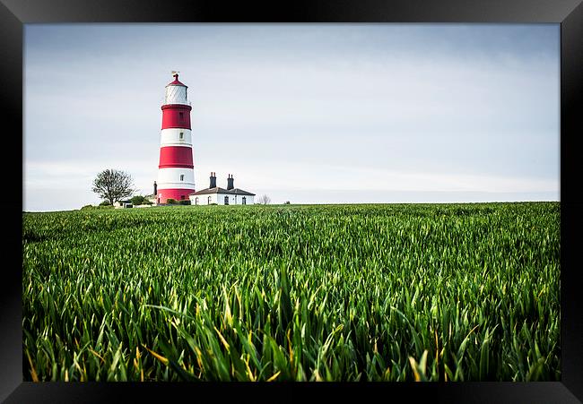  Happisburgh Lighthouse Framed Print by Darren Carter