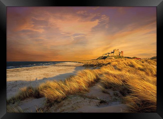  Bamburgh Castle Framed Print by IAN SUFFIELD
