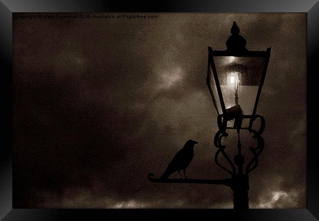  Throop Corvid Lamp Framed Print by Mark Cummins