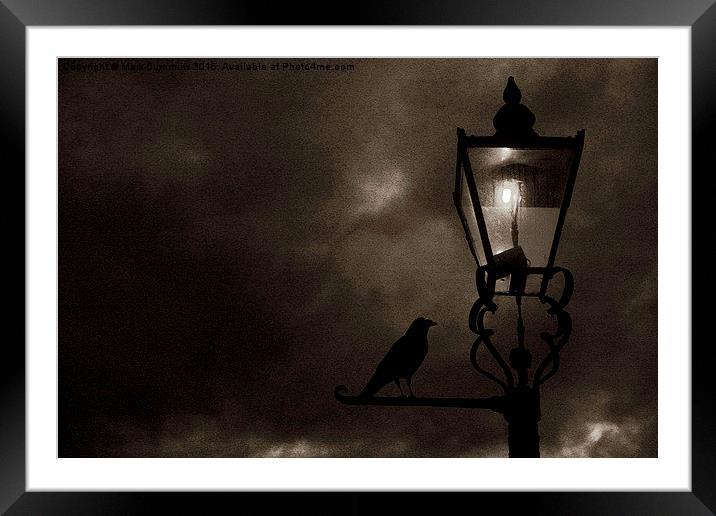  Throop Corvid Lamp Framed Mounted Print by Mark Cummins