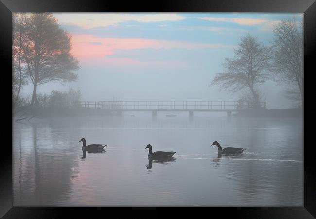 Earlswood Lakes, Warwickshire  Framed Print by Jonathan Smith