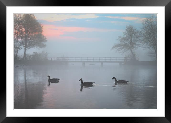 Earlswood Lakes, Warwickshire  Framed Mounted Print by Jonathan Smith